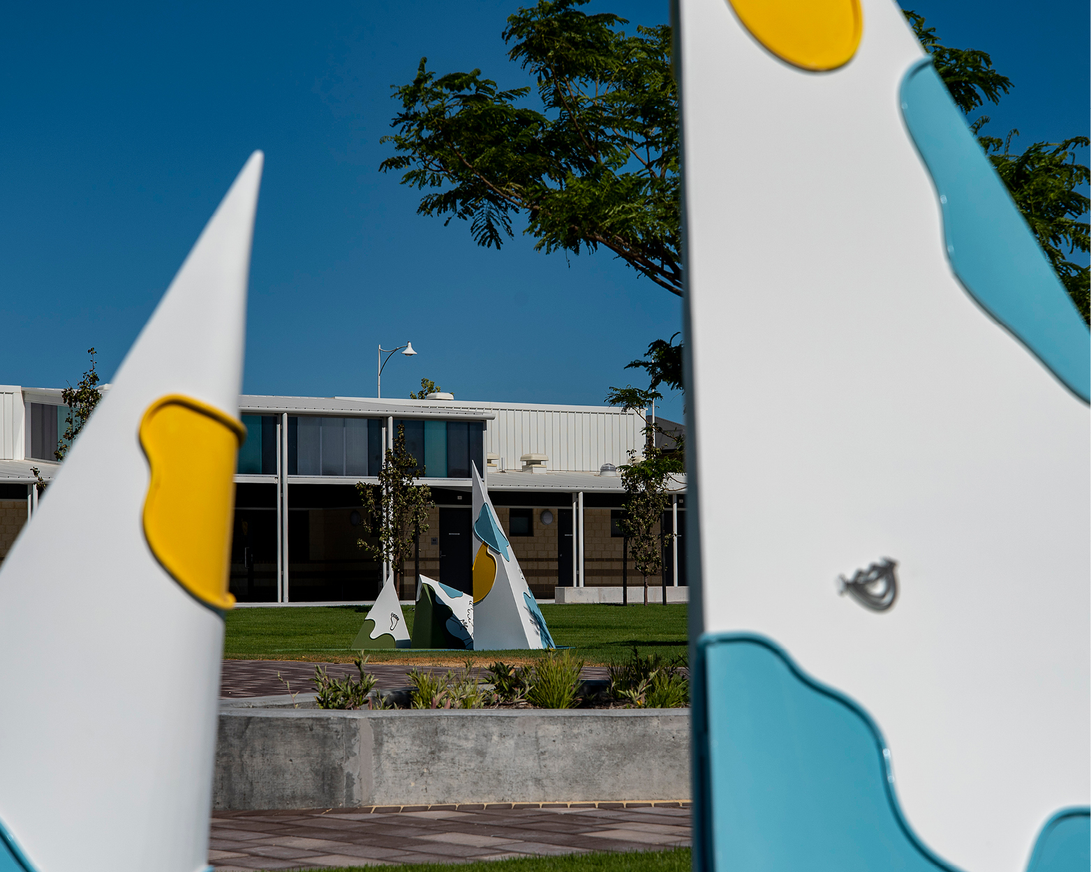 Elisa Markes-Young - Do Sheep Dream of the Sea