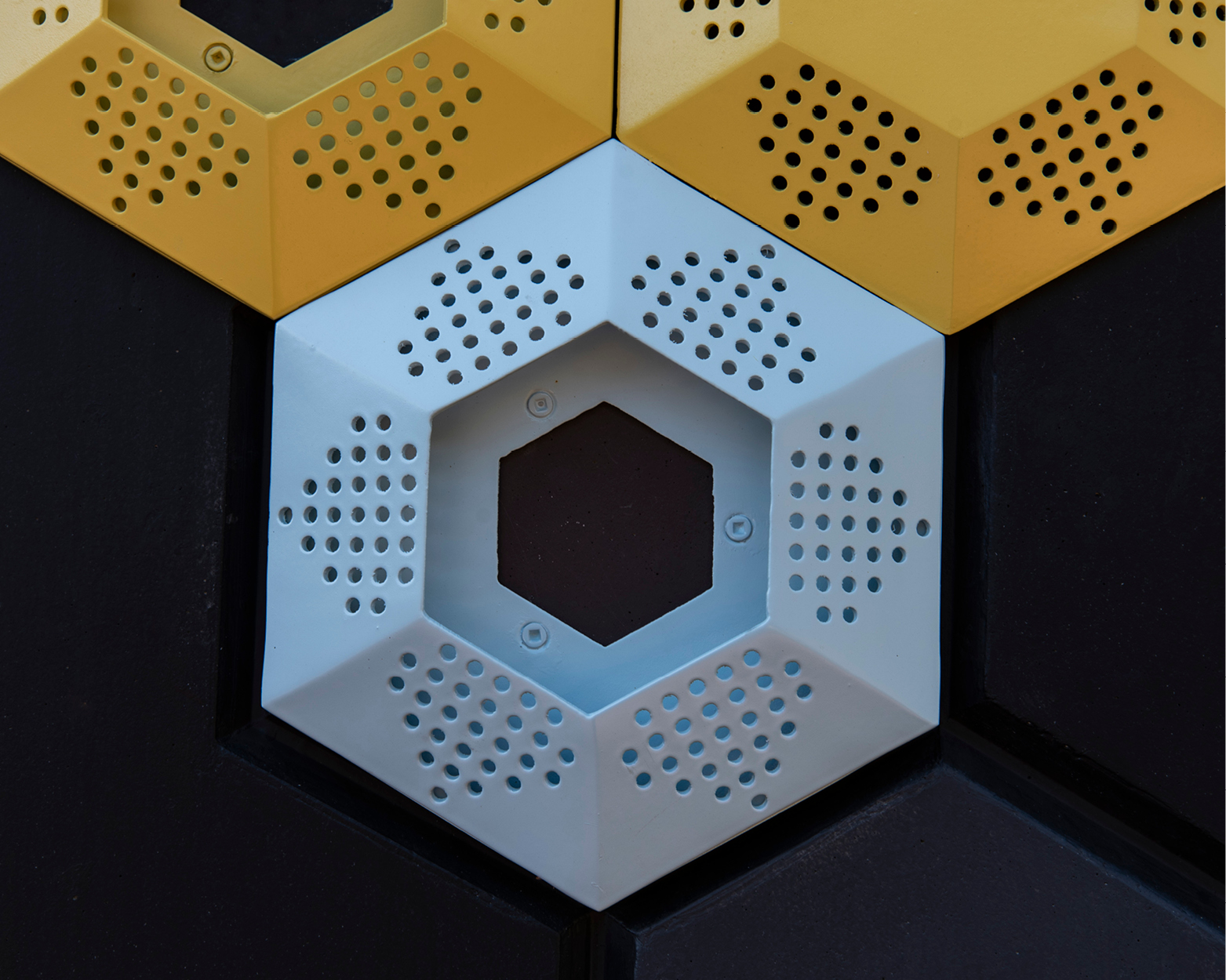 Elisa Markes-Young - Capture the Winds