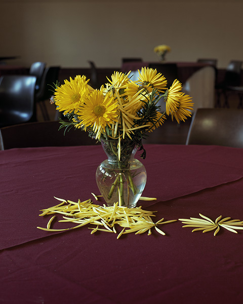 Christopher Young - Eight #35