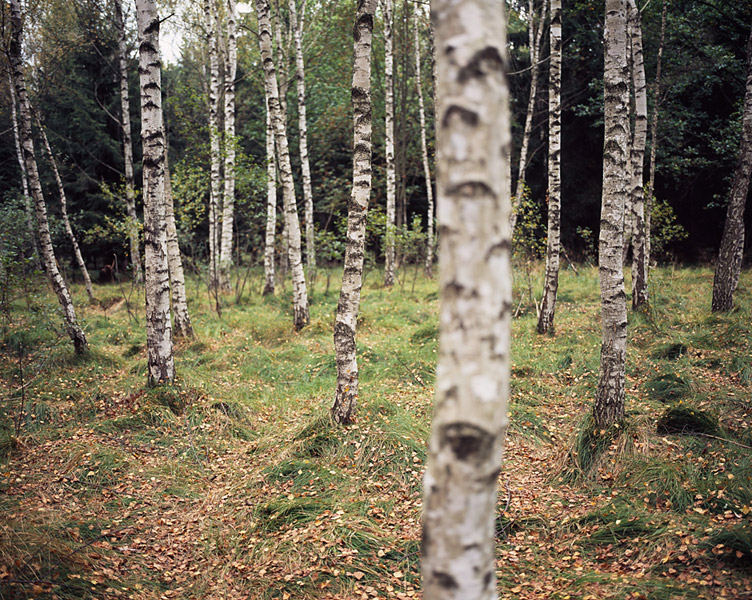 Christopher Young - Poland