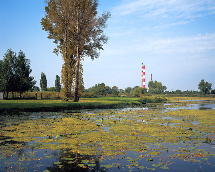 Christopher Young - Poland