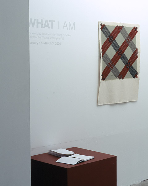 Elisa Markes-Young - What I Am